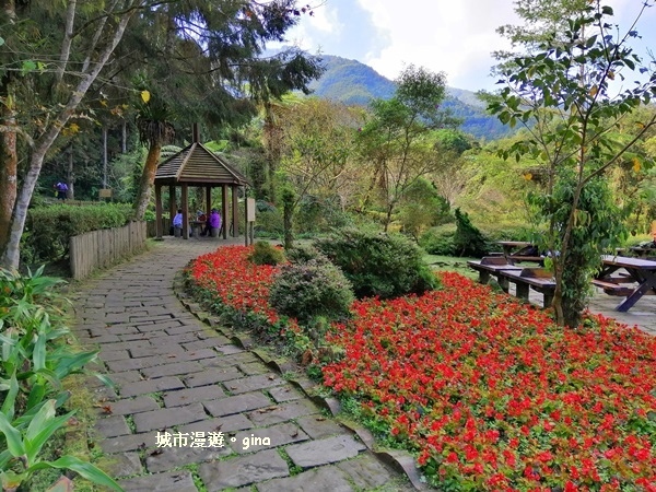 20181207_181207_0127.jpg 20181207_181207_0127.jpg