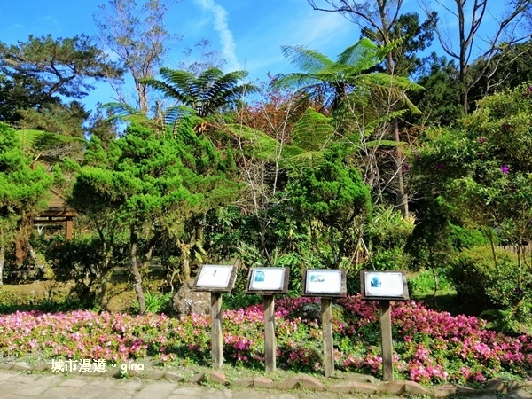 20181207_181207_0133.jpg 20181207_181207_0133.jpg