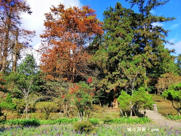 20181207_181207_0135.jpg 20181207_181207_0135.jpg