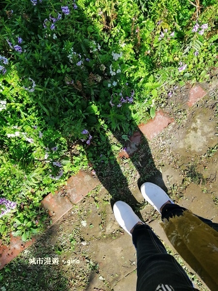 20181207_181207_0136.jpg 20181207_181207_0136.jpg