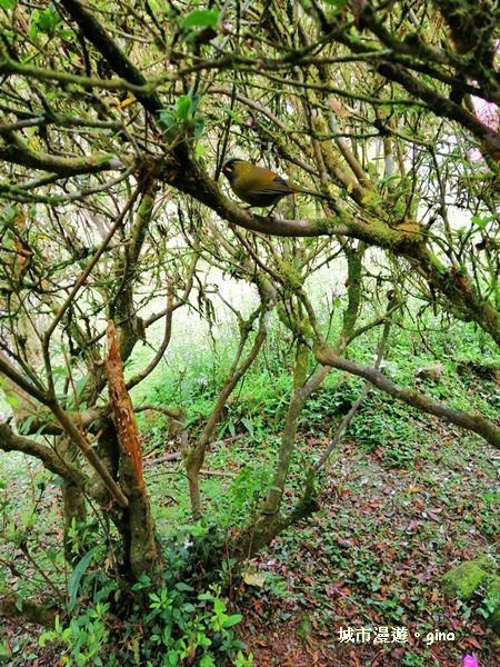 20181207_181207_0143.jpg 20181207_181207_0143.jpg