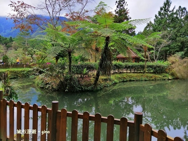 20181207_181207_0152.jpg 20181207_181207_0152.jpg