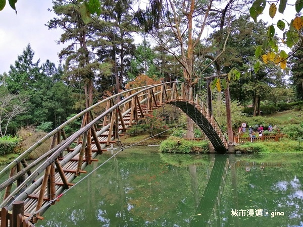 20181207_181207_0165.jpg 20181207_181207_0165.jpg