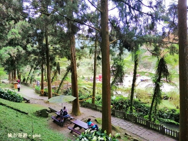 20181207_181207_0170.jpg 20181207_181207_0170.jpg