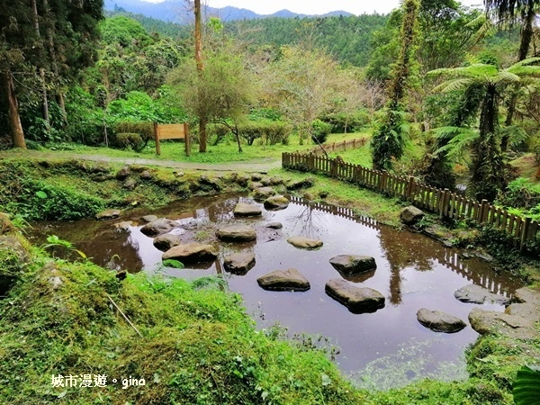 20181207_181207_0171.jpg 20181207_181207_0171.jpg