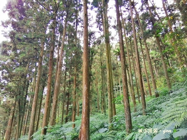 20181207_181207_0175.jpg 20181207_181207_0175.jpg