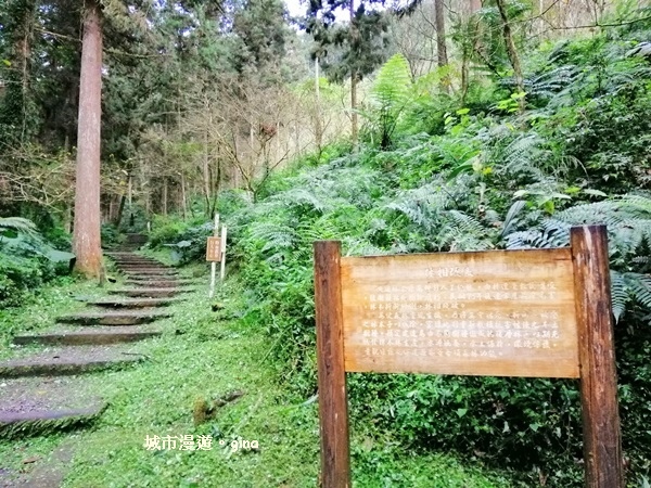 20181207_181207_0185.jpg 20181207_181207_0185.jpg