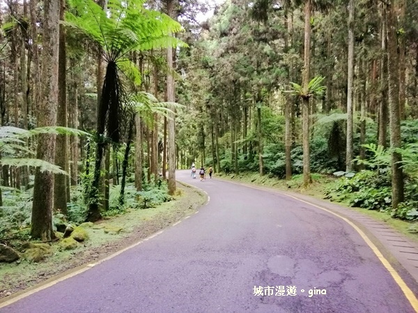 20181207_181207_0187.jpg 20181207_181207_0187.jpg