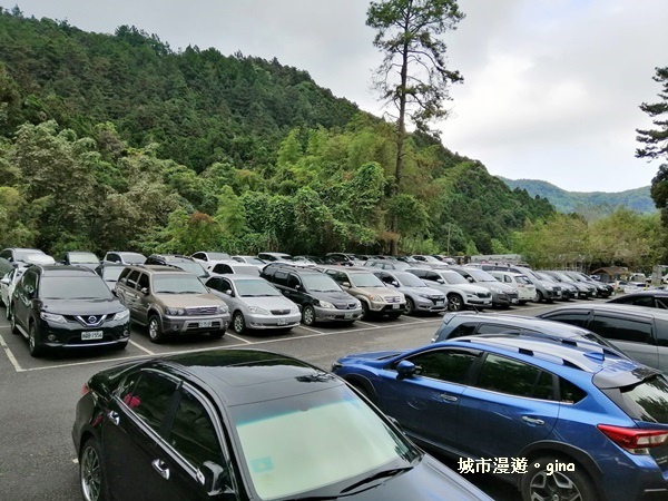 20181207_181207_0190.jpg 20181207_181207_0190.jpg