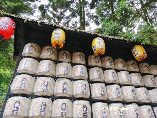 20181207_181207_0204.jpg 20181207_181207_0204.jpg