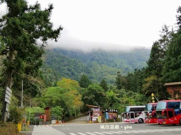 20181207_181207_0207.jpg 20181207_181207_0207.jpg