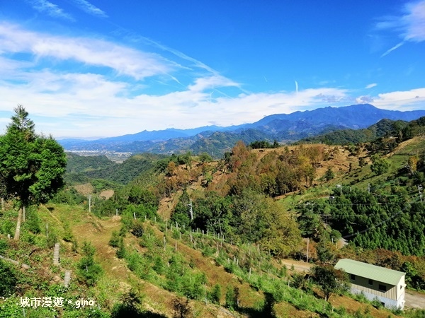 IMG_20181208_100402.jpg IMG_20181208_100402.jpg