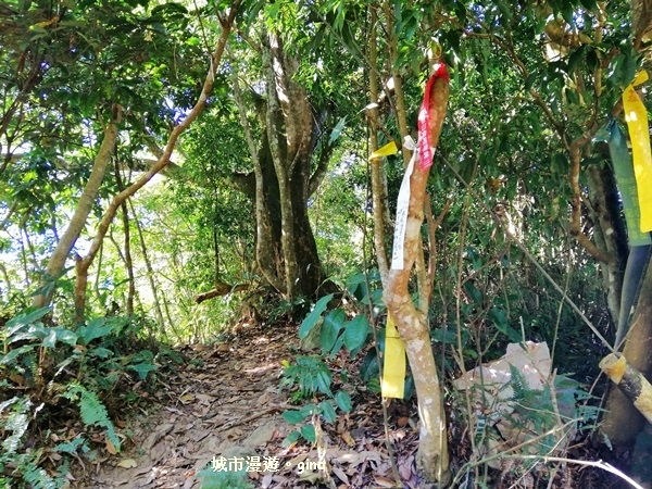 IMG_20181208_100434.jpg IMG_20181208_100434.jpg