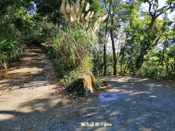 IMG_20181208_100445.jpg IMG_20181208_100445.jpg