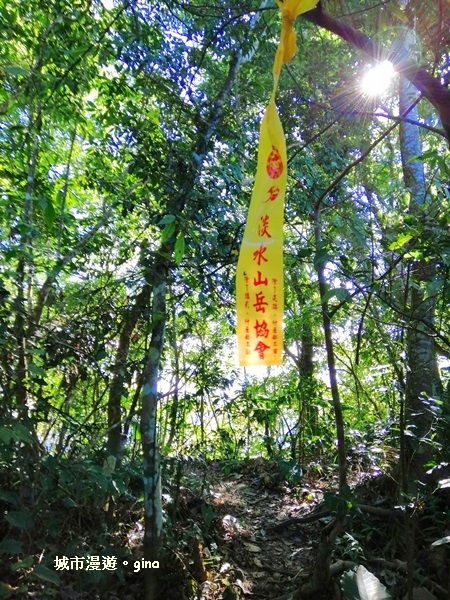 IMG_20181208_101049.jpg IMG_20181208_101049.jpg