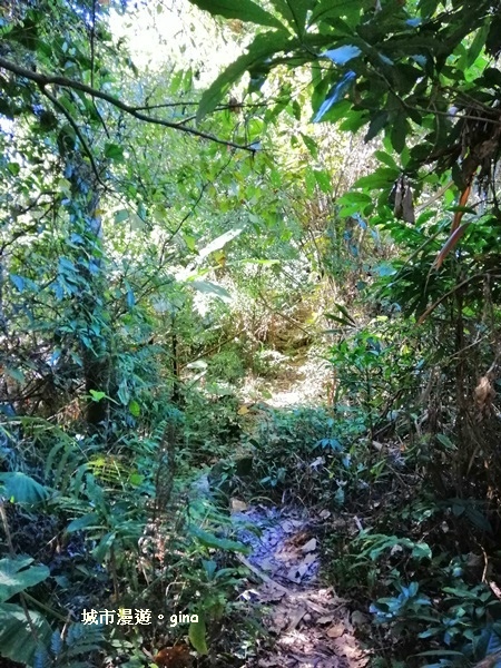 IMG_20181208_101052.jpg IMG_20181208_101052.jpg