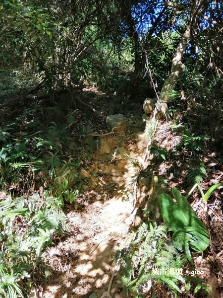 IMG_20181208_102035.jpg IMG_20181208_102035.jpg