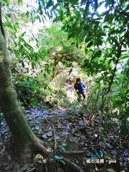 IMG_20181208_102650.jpg IMG_20181208_102650.jpg