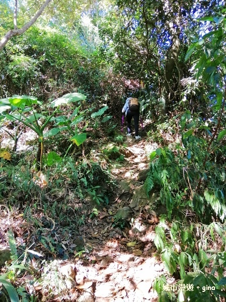 IMG_20181208_103032.jpg IMG_20181208_103032.jpg