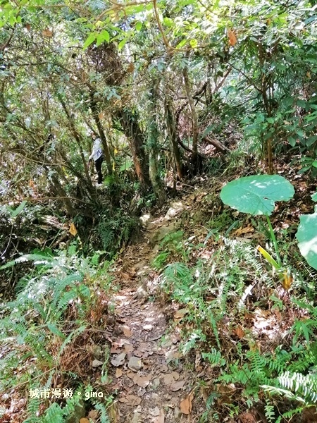 IMG_20181208_103331.jpg IMG_20181208_103331.jpg