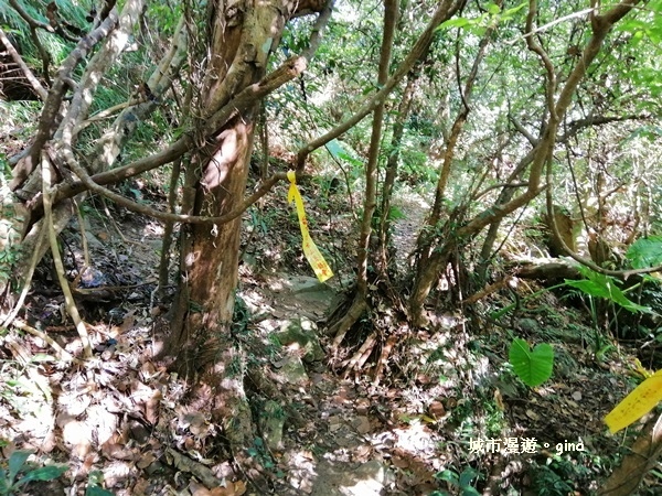 IMG_20181208_103423.jpg IMG_20181208_103423.jpg