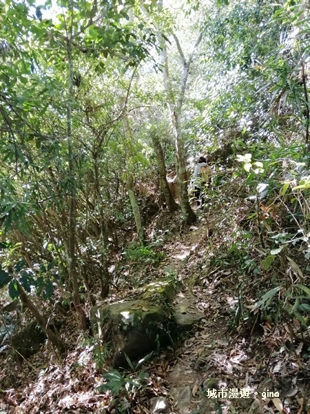 IMG_20181208_103836.jpg IMG_20181208_103836.jpg