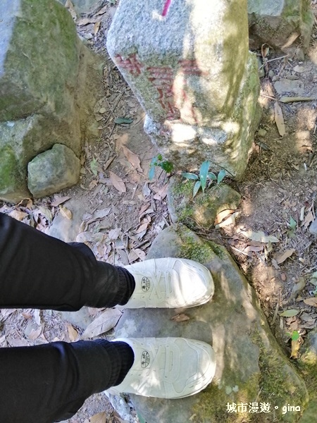 IMG_20181208_110739.jpg IMG_20181208_110739.jpg