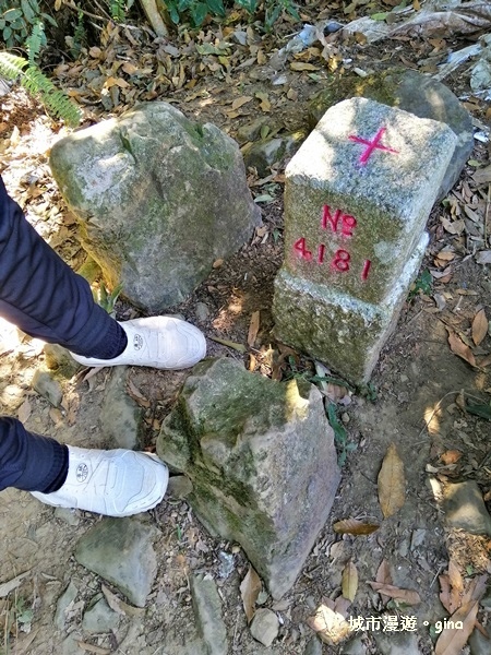 IMG_20181208_110749.jpg IMG_20181208_110749.jpg