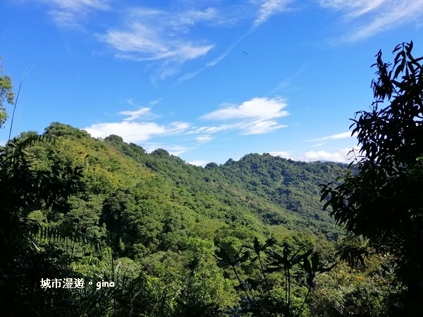 IMG_20181208_114141.jpg IMG_20181208_114141.jpg