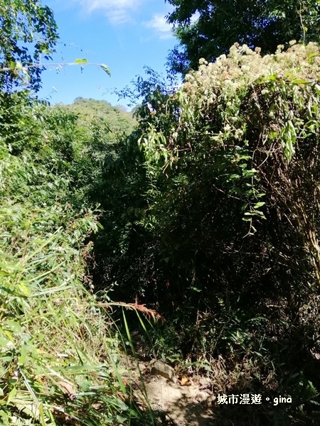 IMG_20181208_114350.jpg IMG_20181208_114350.jpg