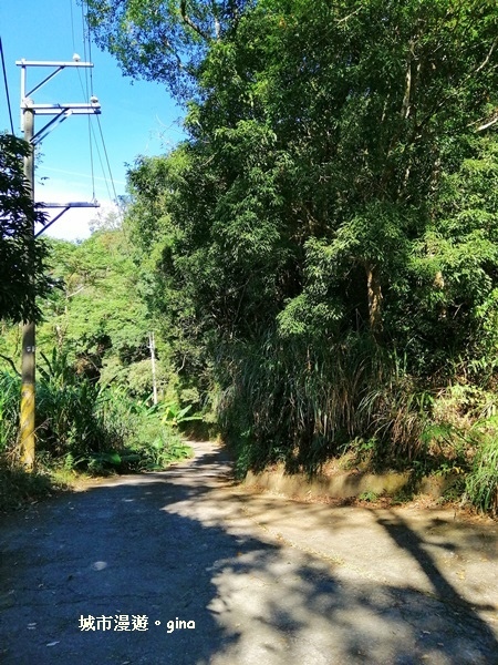 IMG_20181208_115007.jpg IMG_20181208_115007.jpg