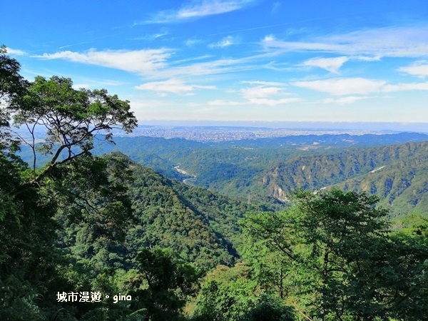 IMG_20181208_115828.jpg IMG_20181208_115828.jpg