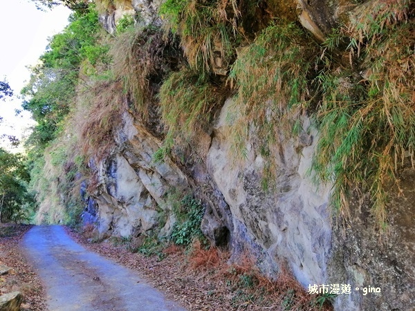 IMG_20181208_120126.jpg IMG_20181208_120126.jpg