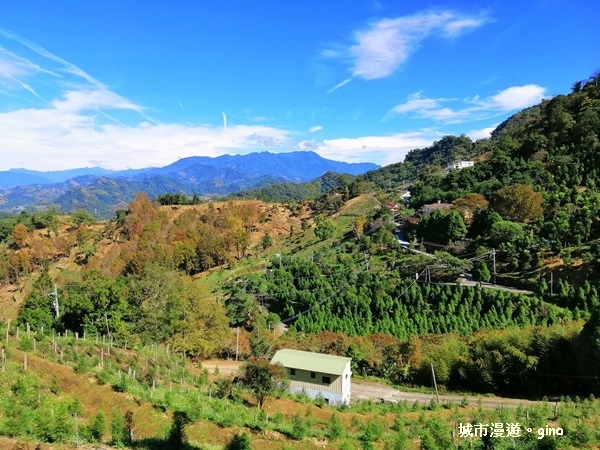 IMG_20181208_120548.jpg IMG_20181208_120548.jpg