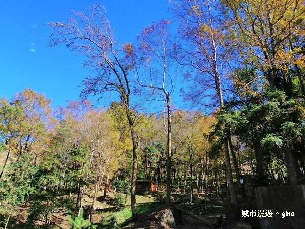 IMG_20181208_121132.jpg IMG_20181208_121132.jpg