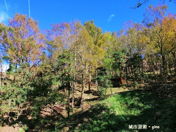 IMG_20181208_121925.jpg IMG_20181208_121925.jpg