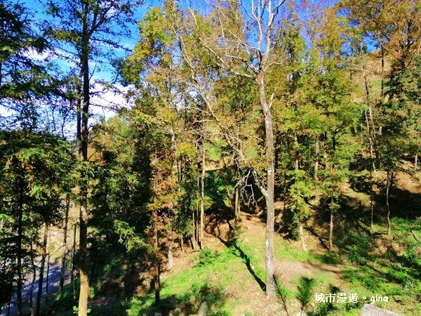 IMG_20181208_122004.jpg IMG_20181208_122004.jpg