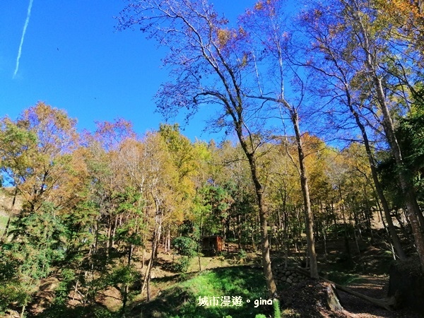 IMG_20181208_122012.jpg IMG_20181208_122012.jpg