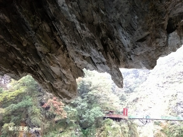 IMG_20181223_150904_1.jpg IMG_20181223_150904_1.jpg