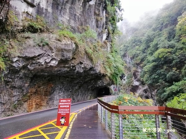 IMG_20181224_080049.jpg IMG_20181224_080049.jpg