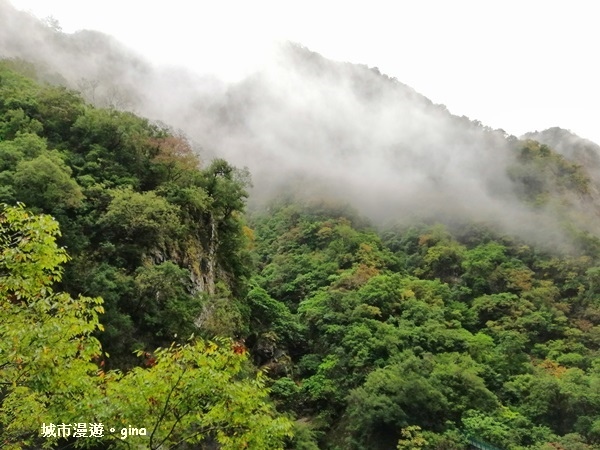 IMG_20181224_080247.jpg IMG_20181224_080247.jpg