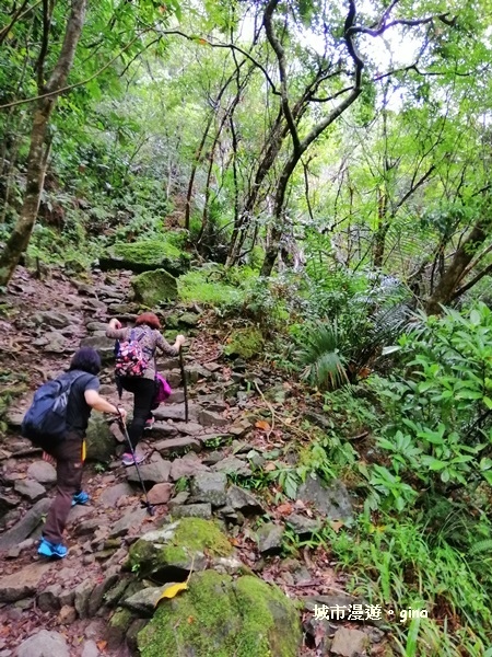 IMG_20181224_082412.jpg IMG_20181224_082412.jpg