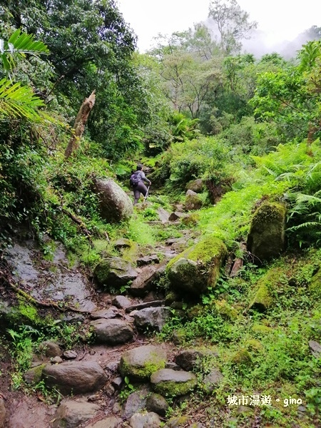 IMG_20181224_083859.jpg IMG_20181224_083859.jpg