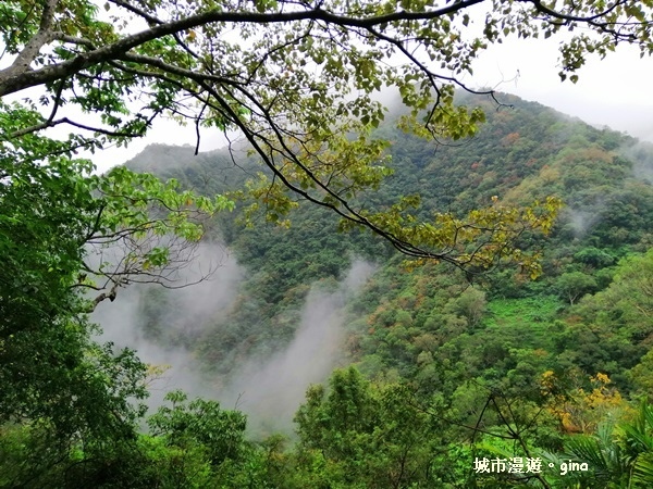 IMG_20181224_084119.jpg IMG_20181224_084119.jpg