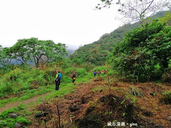 IMG_20181224_084657.jpg IMG_20181224_084657.jpg