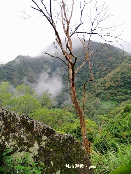 IMG_20181224_084745.jpg IMG_20181224_084745.jpg