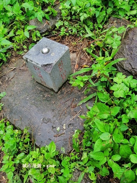 IMG_20181224_085433.jpg IMG_20181224_085433.jpg