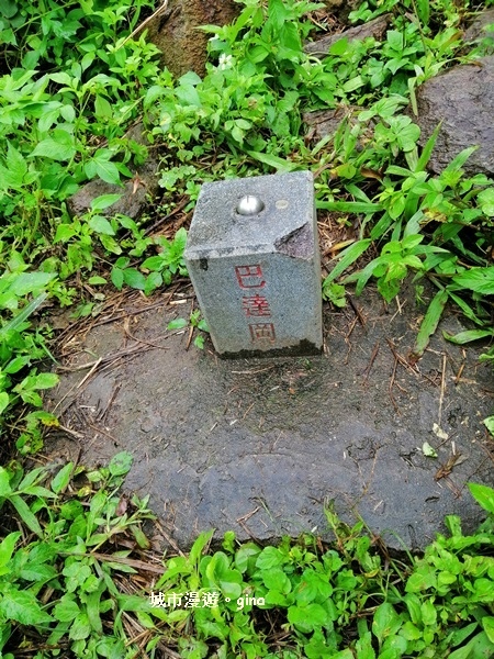 IMG_20181224_085434.jpg IMG_20181224_085434.jpg