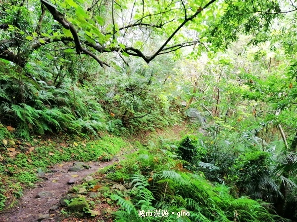 IMG_20181224_085435.jpg IMG_20181224_085435.jpg