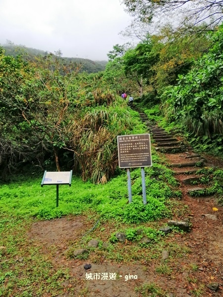 IMG_20181224_085523.jpg IMG_20181224_085523.jpg